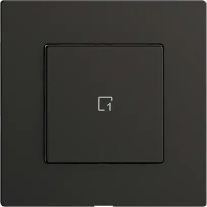 Poussoir scène 1 scène/1T WLAN Edue Wiser noir 