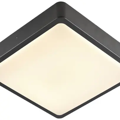 Plafonnier/applique LED SLV AINOS 17W 1300lm 3000/4000K IP65 anthracite 