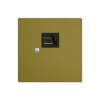 Boîte 1×RJ45/u 8P EDIZIOdue olive R&M swissline 