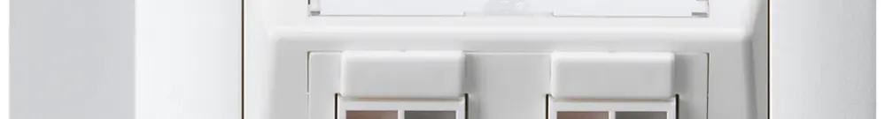 Prise AP audio kallysto 2×blanc borne à étrier pour 2 haut-parleurs 