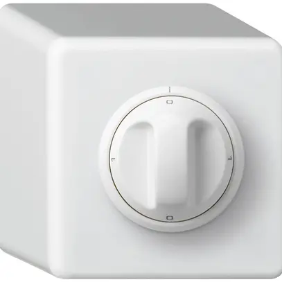 Interruttore rotativo AP basico 5/1L bianco con manopola 