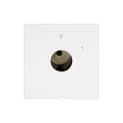 Interruttore a chiave EDIZIO.liv per KABA 1514 interruttore 2P 0-1 p=67mm bi 
