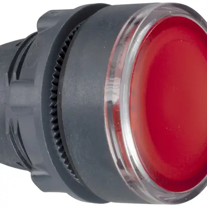 Pulsante Schneider Electric piatto rosso 