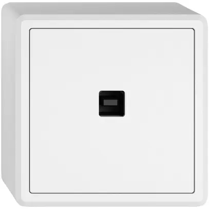 Interfaccia dati USB KNX AP EDIZIO.liv SNAPFIX® presa USB tipo B bi 