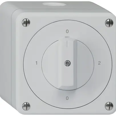Interruttore rotativo AP robusto IP55 schema 2/1P grigio 