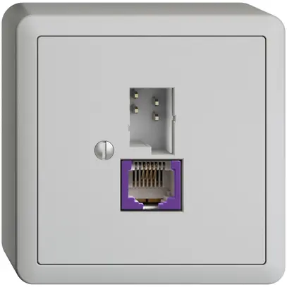 Prise AP T+T 6P/1×RJ45 DSL-à large bande EDIZIOdue gris clair 