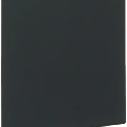 Pièce d'extrémité Hager pour BKIS 25mm noir 