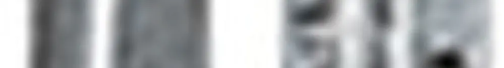 Tragschiene Hager univers N 900×922mm für Schrankhöhe 950mm Set à 2 Stück 
