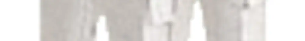 Ponte trasversale isolato WAGO 4mm² 