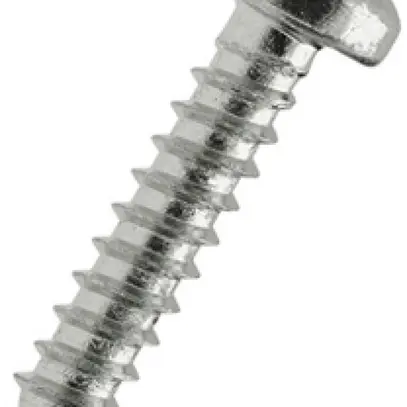 Vite per lamiera a testa bombata FERRONORM TX25mm Ø5.5×45mm acciaio inox 304 V2A 