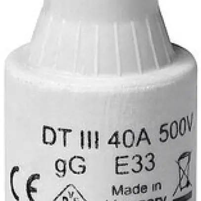 Fusibile D DTIII 32A 500V gG 