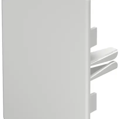 Piastra terminale Bettermann p.canale d'installazione WDK bianco puro 60×90mm 