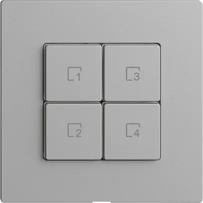 Pulsante scena 4 scene/4T WLAN Edue Wiser silver 