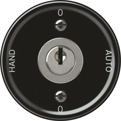 Interruttore a chiave origin commutatore 2/1L 16A 250V 0-AUTO-0-HAND 60×60mm ne 