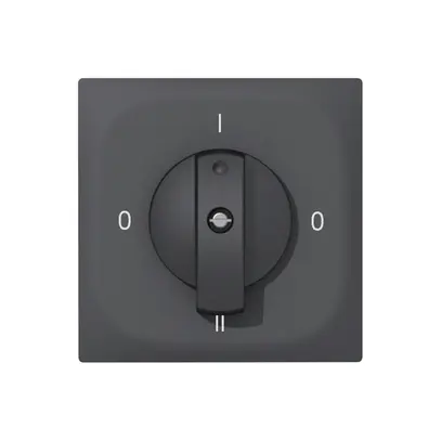 Kit di copertura SIDUS per interr. rotativo antracite 