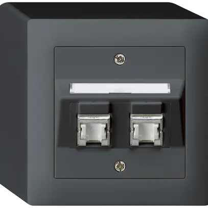 AP-Dose kallysto Kat.6 2RJ45/s anthrazit 
