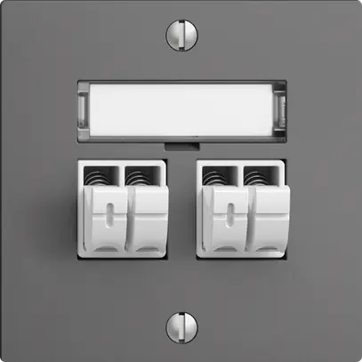 Prise audio Push Type EDIZIOdue F, 2×, kit d'inscription, gris foncé 