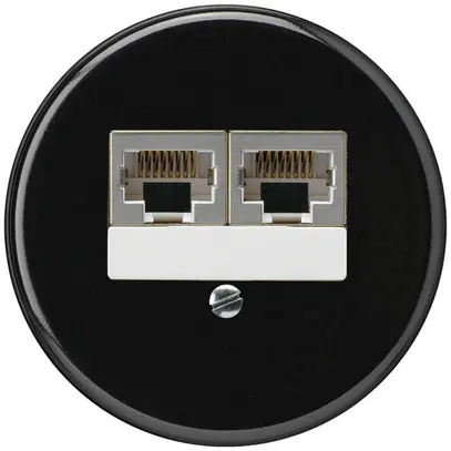 Insert pour boîte ENC basico 2×RJ45s séparé CUC noir 