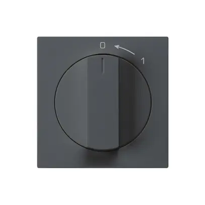 Contatto rotativo 0<1/1L antracite kallysto con manopola 