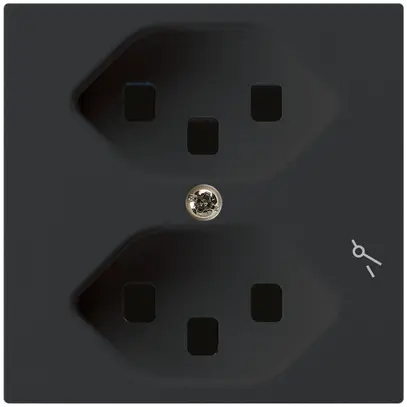 Prise Hager kallysto 2×T23 1×S A noir 