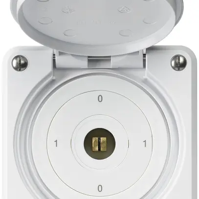 UP-Steckschlüsselschalter robusto IP55 mit Klappdeckel S0/1P weiss Kombi 4-kant 