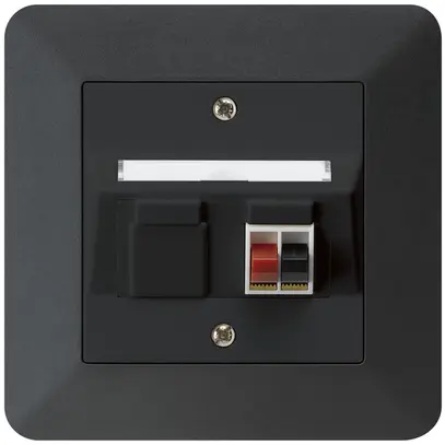 Prise ENC audio kallysto.trend 1×noir borne à étrier pour 1 haut-parleur 