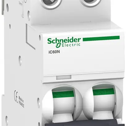 Disgiuntore Schneider Electric iC60N 2P 13A C 