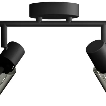 Spot Philips Palms E14 2×25W 274×162mm nero 