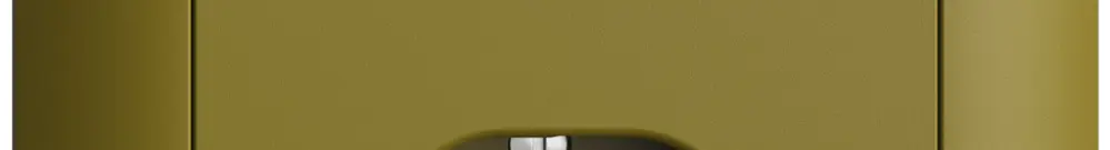 Prise ENC USB 2×type C + type 13 Feller EDIZIOdue FMI 230V 3000mA olive 