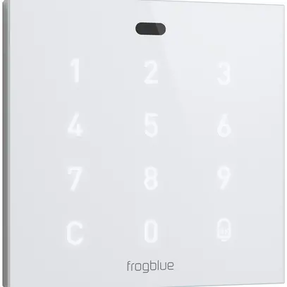 Contrôle d'accès RF ENC frogblue frogAccess, clavier/RFID, 230V, 2 entrées 