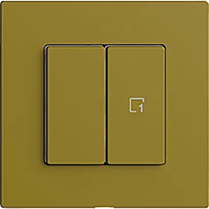 Interruttore 1K/2T scena WLAN Edue Wiser olive 