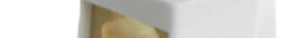 Morsetto di alimentazione WM FIT 25 SN 13.5×35.5×19.5mm 