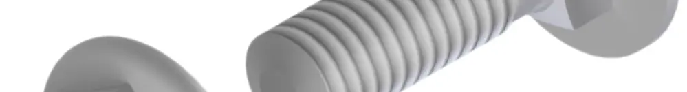 Vis de fixation Lanz M6×20mm avec écrou zingué 