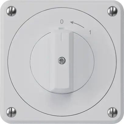 Contatto rotativo INC robusto IP55 grigio 1P per combinazione 