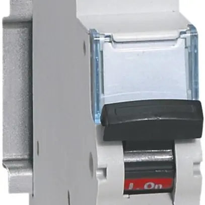 Disjoncteur Legrand C 1PN 2A 6000A/10kA 