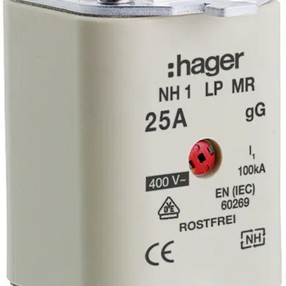 Fusibile HPC Hager DIN1 400VAC 25A gG/gL segnalatore centrale inossidabile 