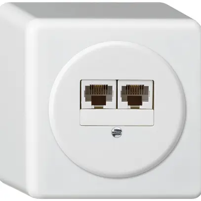 Boîte de raccordement AP basico 2×RJ45u blanc parallèle 