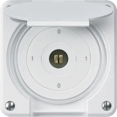 Interruttore a chiave quadrata INC robusto IP55 con coperchio S0/3P bianco combi 