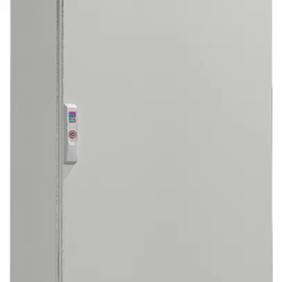 Armoire électrique Rittal SE 5821.600 600×2000×300mm IP55 IK10 acier gris 