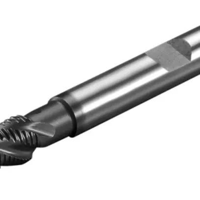 Fresa Rittal AS 4050.891 Ø6mm fresa per sgrossare HSS destra 5pz 