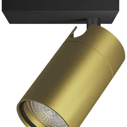 Spot Philips Idris GU10 1×5W IP44 109×100mm nero/ottone 