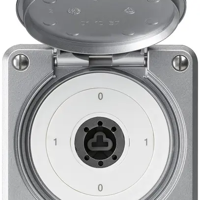 Interruttore a chiave INC robusto IP55 copertura senza cilindro S0/1P alluminio 