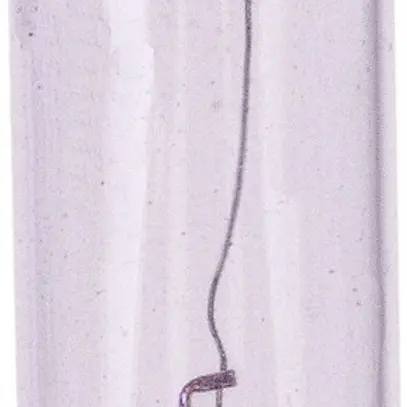 Lampe soffite à incandescence 10.5×39mm 24V 10W clair 