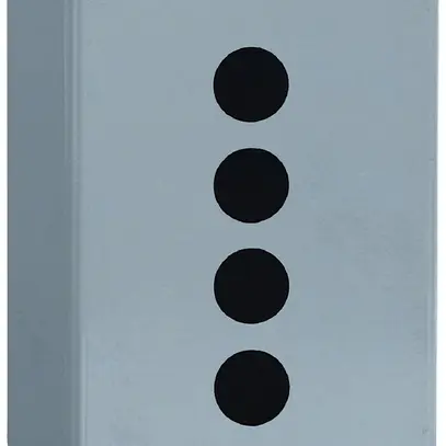 Boîtier AP Schneider Electric 80×130×77mm 4 alésages 