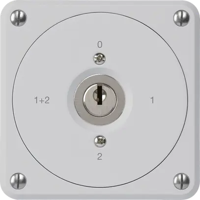 Interruttore a chiave INC robusto senza copertura 1/1P grigio per combinazione 