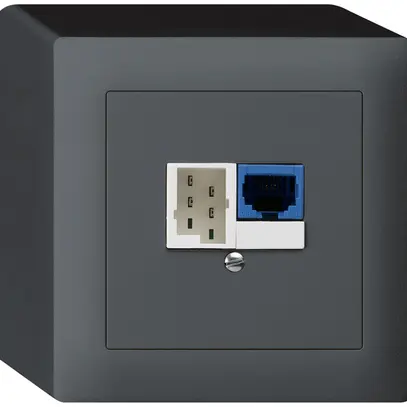 Boîte DSL AP 1×RJ45/1×T+T anthracite 