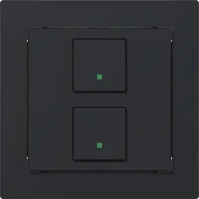 Sensore INC ABB SIDUS free@home 1×antracite 