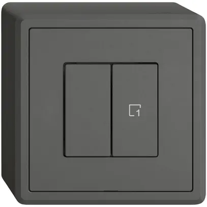 Station sec.interr.AP EDIZIO.liv Wiser SNAPFIX® 1 scène 2 touches WLAN grf 
