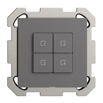 Pulsante scena INC 4 scene/4T Edue Wiser grigio scuro 