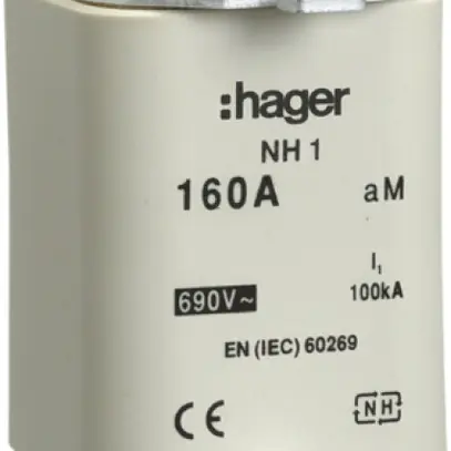 Fusibile HPC Hager DIN1 690VAC 250A aM segnalatore doppio inossidabile 